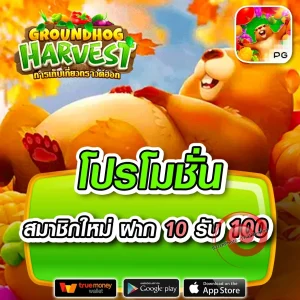 thebestrichy ทางเข้า